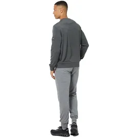 super.natural Herren Alpine Brush Crewneck Pullover (Größe XL,