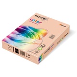 MAESTRO COLOR Kopierpapier A4, 160g 250Bl lachs MAESTRO® color, 9417-SA24A16S