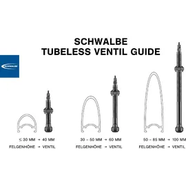 Schwalbe Tubeless Ventil 2er Set schwarz 100 mm