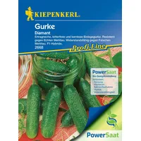 Kiepenkerl Gurke Diamant (Cucumis sativus)