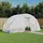 furnicato Gewächshaus Stahl Weiß HKP 10 mm 10 m2