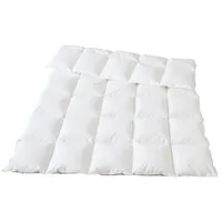 Traumina Plume Bio Daune Einziehdecke WK3 - 155x220cm