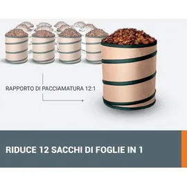 Worx WG583E inkl. 2 x 4,0 Ah + Ladegerät