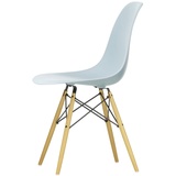 Vitra - Eames Plastic Side Chair DSW RE, Ahorn gelblich / eisgrau (Filzgleiter baisc dark)