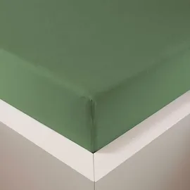 Traumschlaf Spannbettlaken Baumwolle-Jersey-Lyocell 120 x 200 cm grün