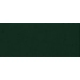 s-style möbel Loungesessel Mit Silber, Metall Füßen Aus Grün Samtstoff