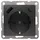 Siemens USB-Steckdose 1 St. carbonmetallic