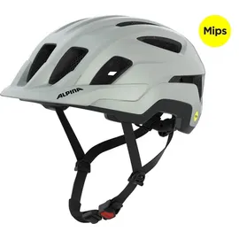Alpina Paranus MIPS 52-56 cm grau 2021