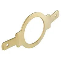 Kaiser 1029.80.10 Erdungslasche PG29 Messing