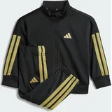 Adidas Essentials Climacool Trainingsanzug Black / Gold Met. 68