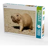 Calvendo Gib Fünf 1000 Teile Puzzle quer