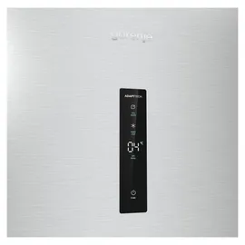 Gorenje R619DAXL6 Kühlschrank (398 l, 1850 mm hoch, Grau)