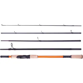 Shimano Fishing Shimano STC AX Spinning 2,70m 28-84g Reiserute