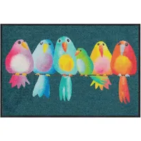 SALONLOEWE Fußmatte Rainbow Birds 030x100 Schuhparkplatz