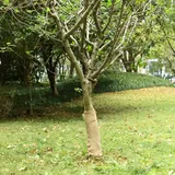 vidaXL Jutegewebe 0,5x15 m 100% Jute 200 g/m2