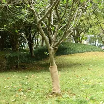 vidaXL Jutegewebe 0,5x15 m 100% Jute 200 g/m2