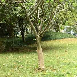 vidaXL Jutegewebe 0,5x15 m 100% Jute 200 g/m2
