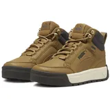 Puma Tarrenz SB III Sneakers Jugendliche Toasted Shadow Gray Gold Beige gold|beige|grau 35.5