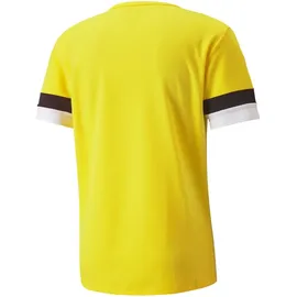 Puma teamRISE Jersey 704932