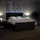 vidaXL Boxspringbett 180 x 200 cm Schwarz
