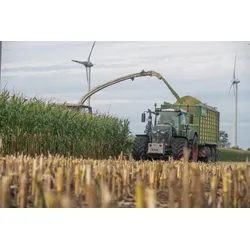 Poster Fendt 936 im Mais
