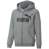 Puma Essentials Big Logo Kapuzenjacke Jungen PUMA Medium Gray Heather Gr. 86 - 13-18 Monate