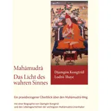 Norbu Verlag Mahamudra – Das Licht des wahren Sinnes: Ein praxisbezogener Überblick über den Mahamudra-Weg mit einer Biografie von Djamgön Kongtrül und den ... der wichtigsten Mahamudra-Linienhalter