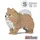 JEKCA Bricks Pomeranian 02-M01 ST19PM02-M01