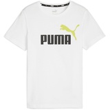 Puma Ess Tee B T-Stück Puma White-lime Sheen 164 EU