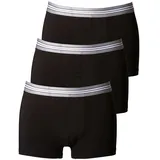 haasis bodywear Pants schwarz M 3er Pack
