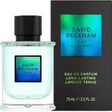 David Beckham True Instinct Eau de Parfum