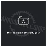RYDE 28 Zoll Hinterrad Andra 10 mit Shimano Alfine SG-S7001 8-Gang Nabenschaltung - Felge 19-622, Center Lock, schwarz-silber