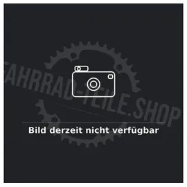RYDE 28 Zoll Hinterrad Andra 10 mit Shimano Alfine SG-S7001 8-Gang Nabenschaltung - Felge 19-622, Center Lock, schwarz-silber