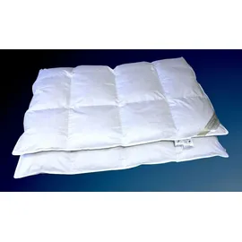 Betten Hofmann Hofmann Franken 8cm Hochsteg Winterbett Daunenbett Daunendecke 4x6 135x200 1080g - Weiß