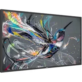 Philips Q-Line 75BDL3511Q/00 75"