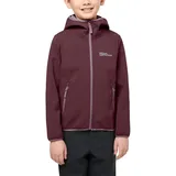 Jack Wolfskin Unisex Kinder Fourwinds Kids, Boysenberry, 104 EU