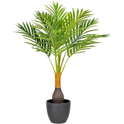 Kunstpalme Kentiapalme Palme, Creativ green, Höhe 70 cm grün