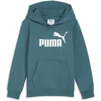 Puma Hoodie Emerald 98