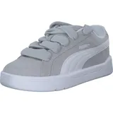 Cool Light Gray/Puma White 48,5