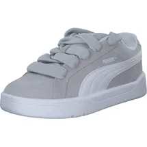 Puma Park Lifestyle Easy SD Cool Light Gray/Puma White 48,5
