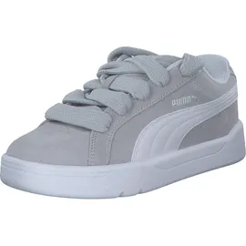 Puma Park Lifestyle Easy SD Cool Light Gray/Puma White 48,5