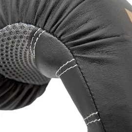 Reebok Boxhandschuhe 12oz - Gold/Black