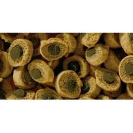 Sera Reptil Professional Herbivor Nature 1.000 ml 33