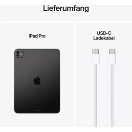 Apple iPad Pro 11" (5. Generation 2024) 512 GB Wi-Fi + Cellular Space Schwarz