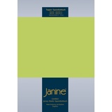 JANINE Topper-Spannbetttuch 5001 Jersey 140 x 200 - 160 x 220 cm apfelgrün