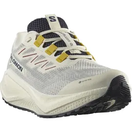 Salomon Aero Blaze 3 Herren Beige / Grau 42