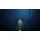 THQ Reanimal Nintendo Switch 2