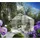 KGT Orchidee Typ III Alu pressblank HKP 10 mm 9,6 m2