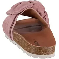 Verbenas Roxy Roda