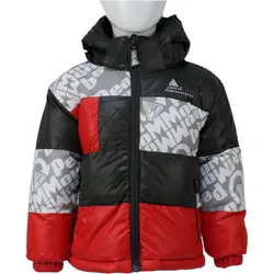 Kinder-Daunenjacke Peak Mountain Eleo grau|grau|ROT 96-102cm 3-4J